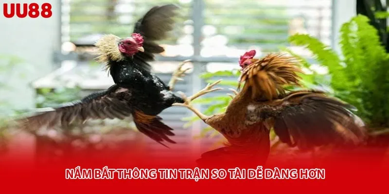 Nắm bắt thông tin trận so tài dễ dàng hơn